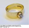 124.1.bague.JPG